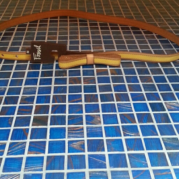 A great christmas gift:  Fossil belt. NWT - Picture 1 of 3